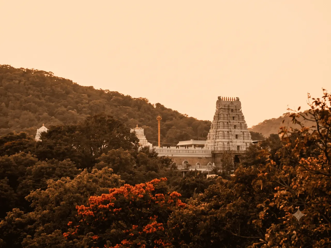 Forested slopes of the Tirumala hills near Tirupati
